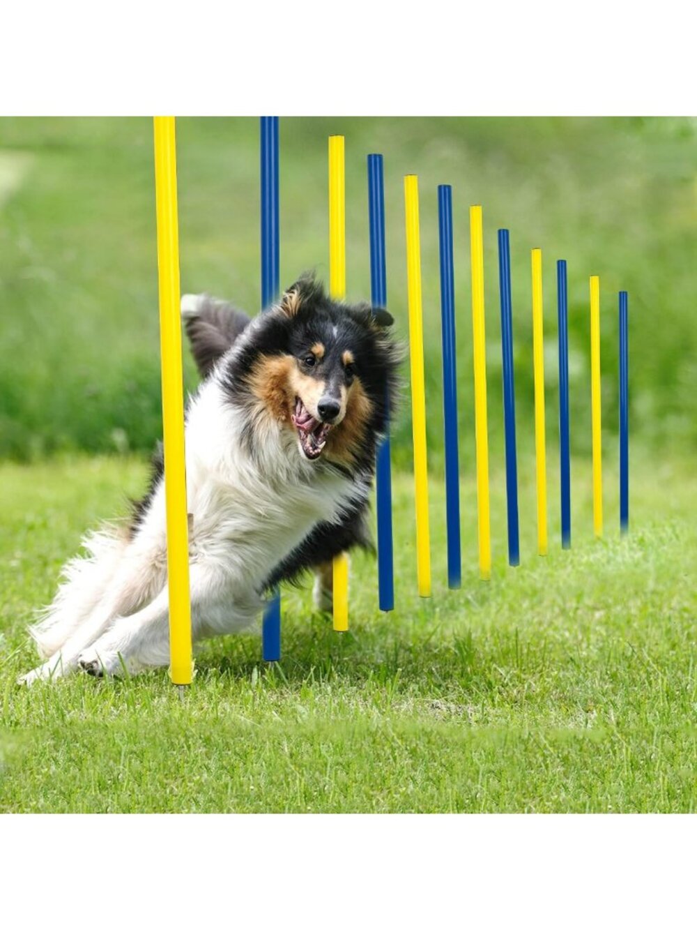 Dog Agility Training Set - 12pcs Weave Poles for Backyard Obstacle Course